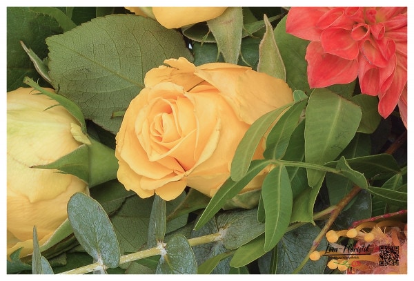Gelbe Rose im Trauergesteck