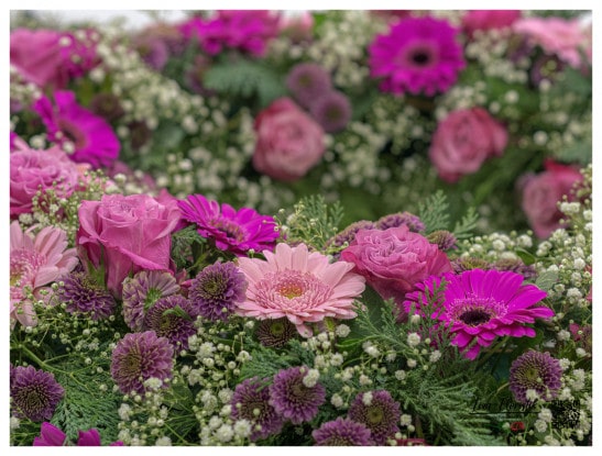 Gerbera, Rosen und Chrysanthemen - Detail