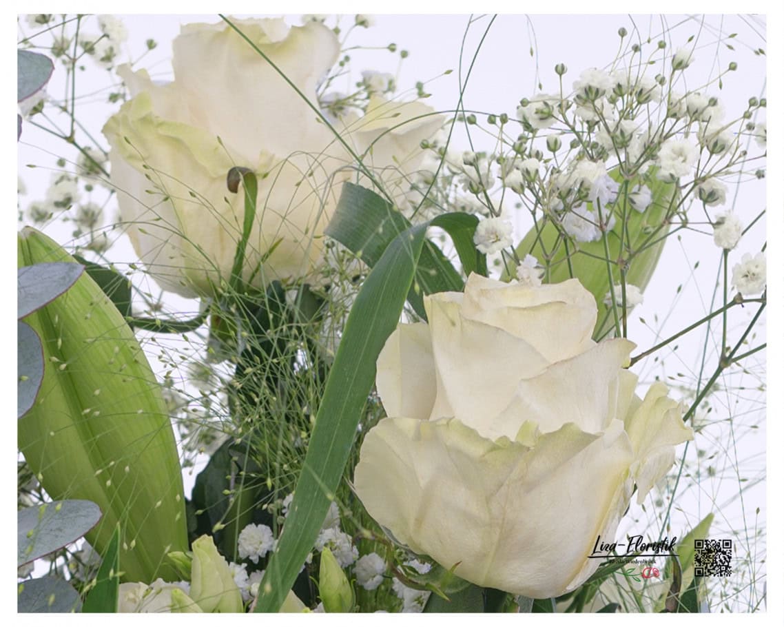 Im Detail: Ecuador Rose Mondial