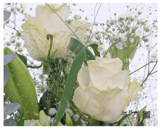 Im Detail: Ecuador Rose Mondial