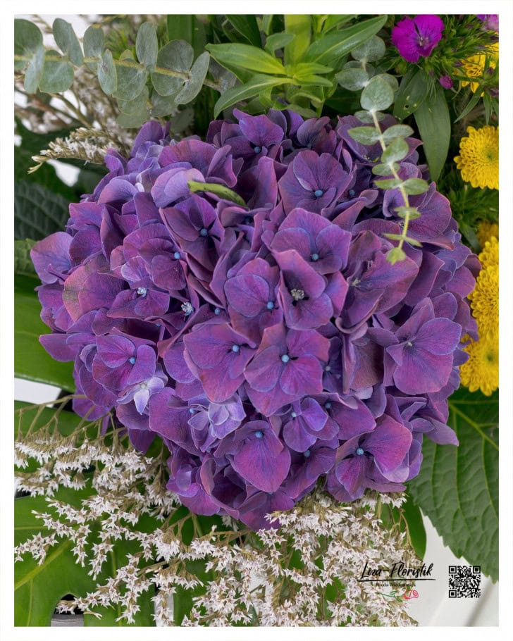 Die kräftig violette Hortensie fügt dem Trauergesteck eine tiefe, majestätische Note hinzu, während sie von feiner Statice und frischem Eukalyptus umrahmt wird