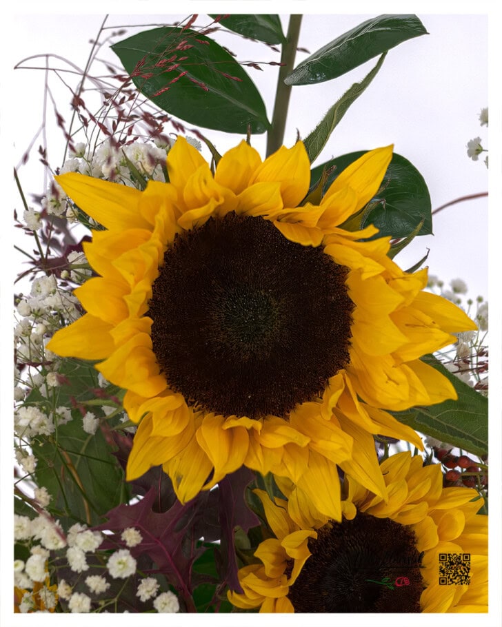 Frische Sonnenblumen mit leuchtend gelben Blütenblättern, kombiniert mit zartem Schleierkraut, roten Ziergräsern und sattem Blattgrün – detailreicher Ausschnitt aus dem herbstlichen Trauergesteck.