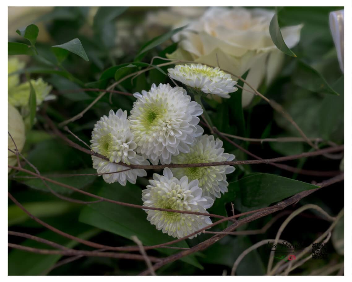 Zarte Chrysanthemen zwischen natürlichem Zweigwerk